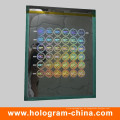 3D DOT Matrix Sicherheitslaser Hologramm Master